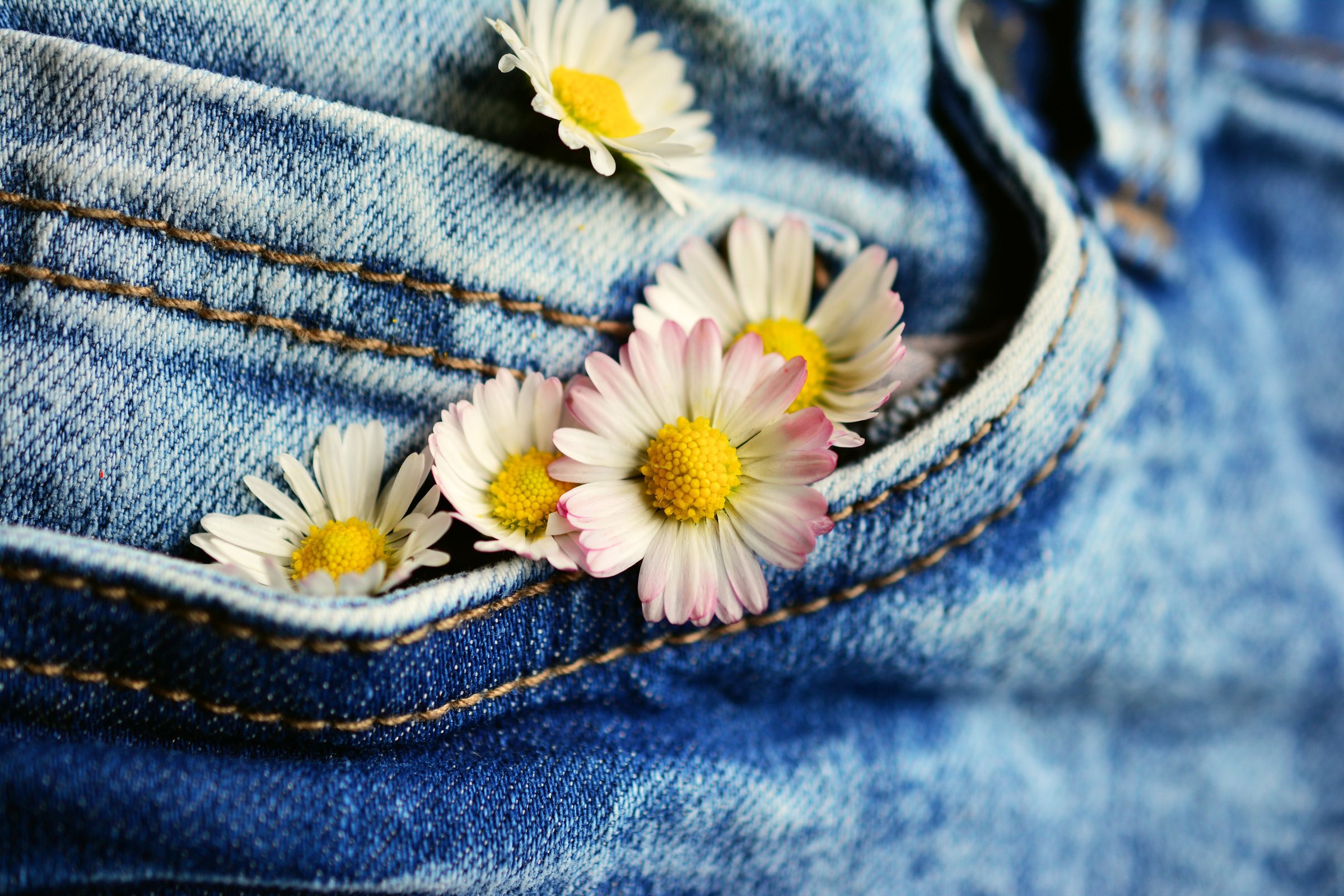 Flowers in a Denim Pocket